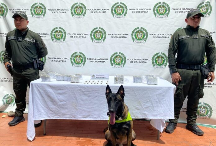 POLICIA NEIVA