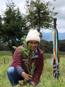 CAM HUILA