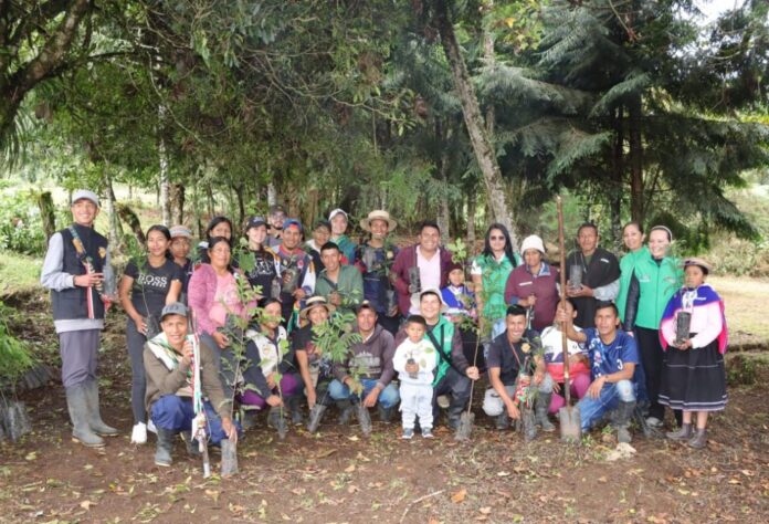 CAM HUILA