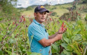 SECRETARÍA DE AGRICULTURA DEL HUILA