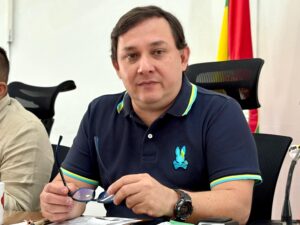 CONCEJO DE NEIVA