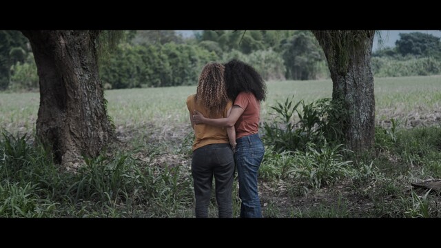 COLP_EXT_143012_294bb