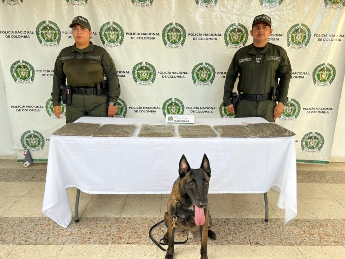 POLICÍA METROPOLITANA DE NEIVA