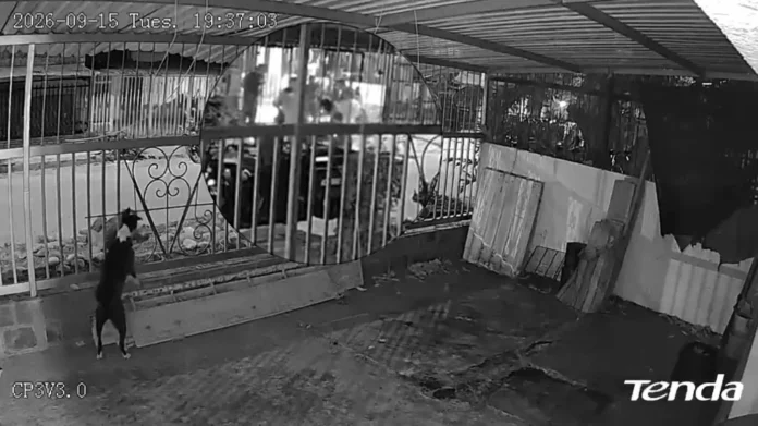 ataque a disparos en Timanco