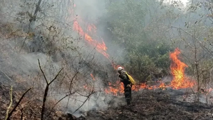 convenios con bomberos