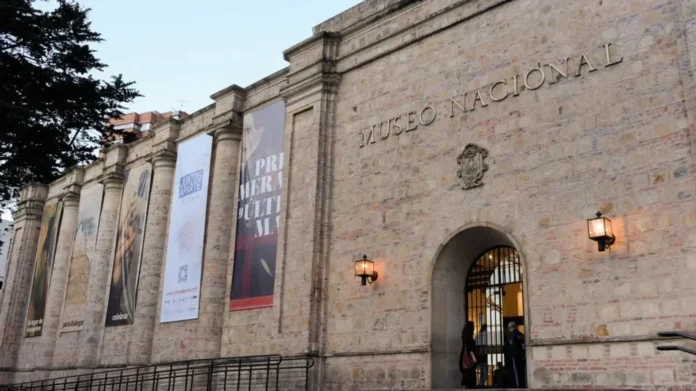 fallo del Museo Nacional